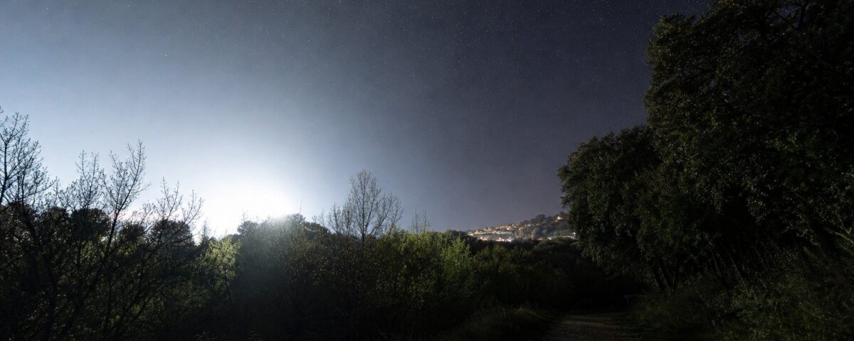 Resplandor blanco de una instalación urbana invadiendo el borde de un bosque mientras el cielo conserva estrellas en la zona oscura.