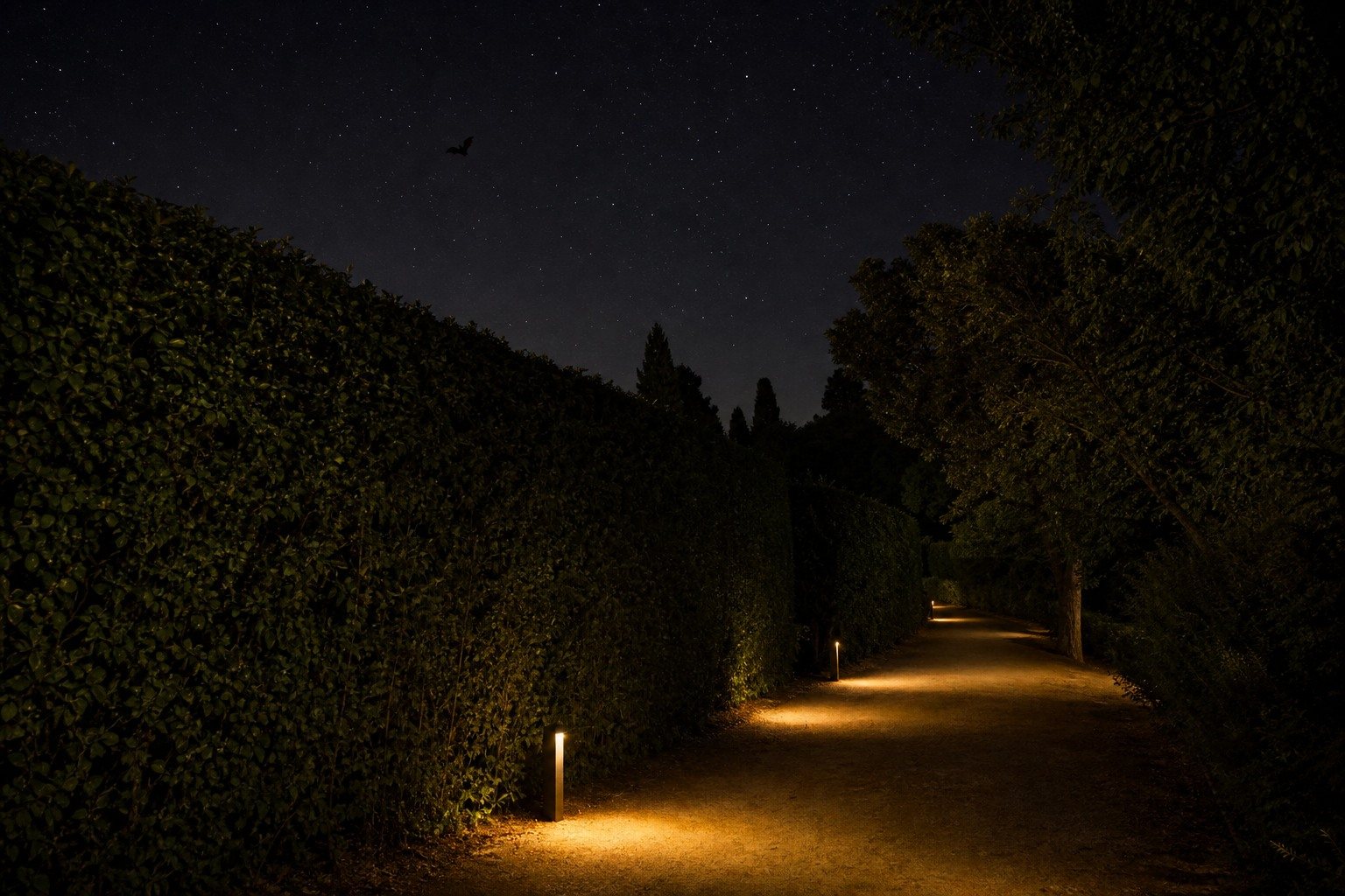 Sendero nocturno iluminado solo hacia el suelo con balizas ámbar, mientras setos, árboles y cielo permanecen oscuros.