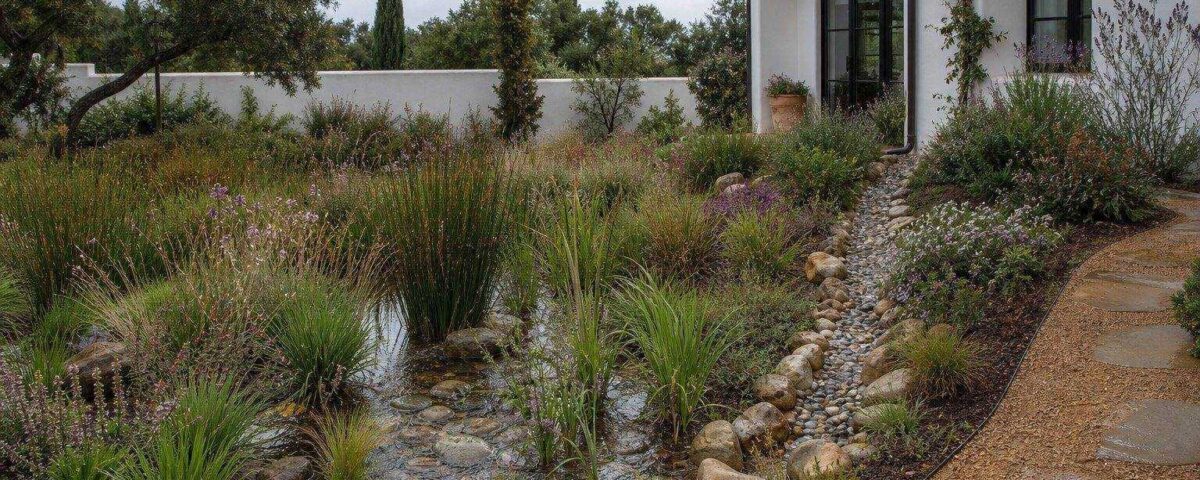 Jardín de lluvia mediterráneo junto a una vivienda, con vegetación diversa y una lámina temporal de agua tras la tormenta.